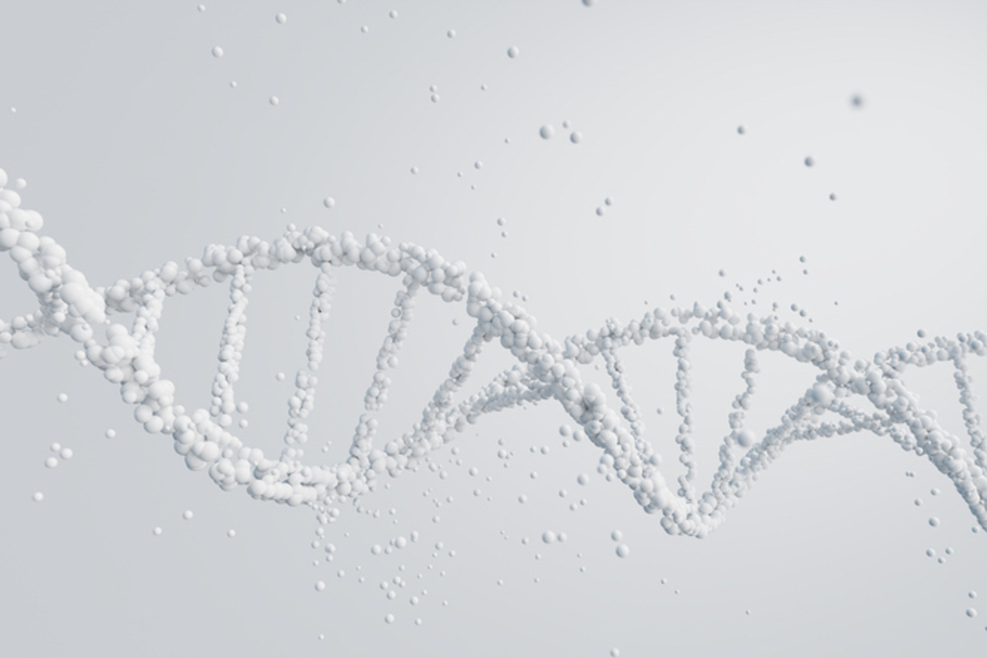 Was bedeutet Epigenetik?